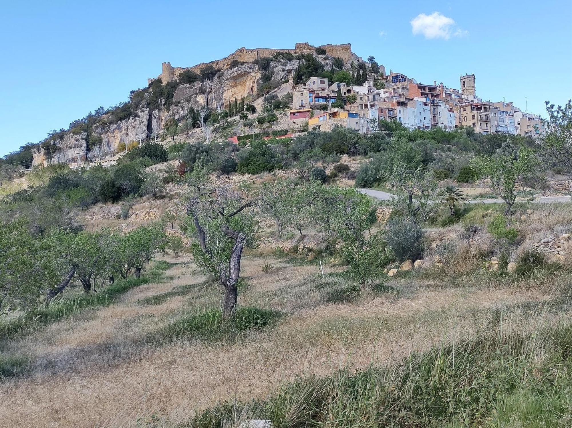 Tranquil And Spacious Townhouse In Historical And Picturesque Cervera Del Maestre 外观 照片